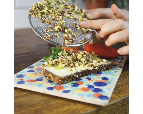 Une personne répartit des germes à l'aide d'un tamis sur une tartine.