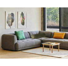 Wohnzimmer mit grauer Eckcouch, Kissen und kleinem Tisch