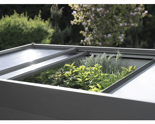 Hochbeet mit geöffnetem Deckel und Bepflanzung mit Kräutern