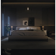 Chambre à coucher avec lit, tables de chevet et éléments décoratifs pour une ambiance relaxante