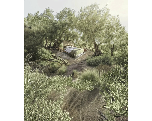 Bett im Freien unter Bäumen, umgeben von natürlicher Vegetation.