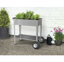 Rollbarer Pflanztisch mit Kräutern, Ablagefläche, Gießkanne und Pflanzen in Töpfen.