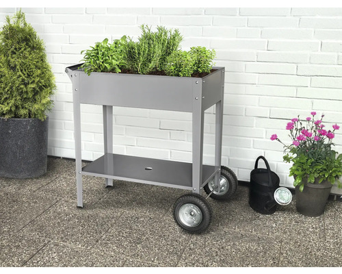 Rollbarer Pflanztisch mit Kräutern, Ablagefläche, Gießkanne und Pflanzen in Töpfen.