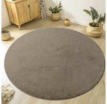 Tapis rond sur parquet dans un salon