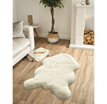 Salon avec canapé, cheminée, plante d'intérieur et tapis aspect fourrure