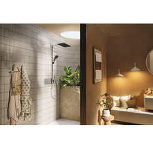 Badezimmer mit Dusche, Duschkopf, Handbrause, Aufputzarmatur, Ablagefläche und Pflanzen