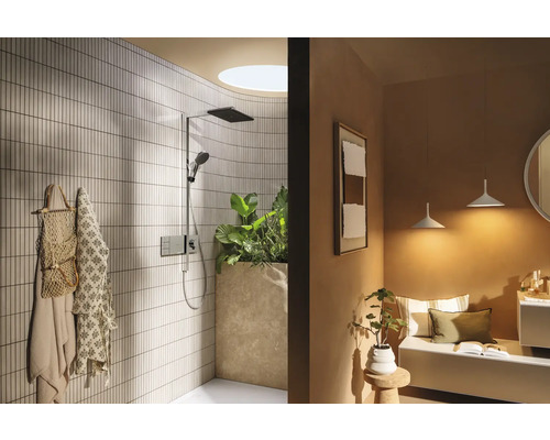 Badezimmer mit Dusche, Duschkopf, Handbrause, Aufputzarmatur, Ablagefläche und Pflanzen