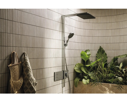 Badezimmer mit Dusche, Deko-Pflanzen und Accessoires