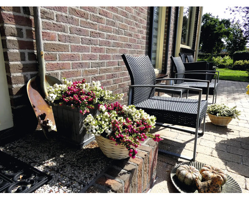 Terrasse avec mobilier de jardin, pots de fleurs et décorations devant un mur en briques.
