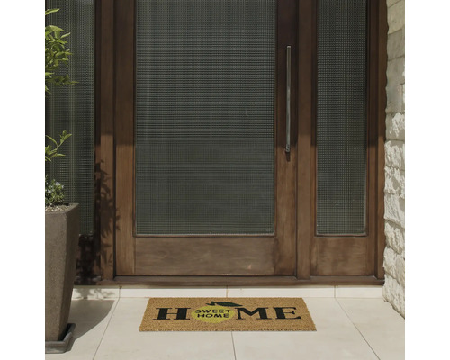 Zone d'entrée avec paillasson et porte d'entrée