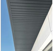 Sous-face grise avec panneaux horizontaux.