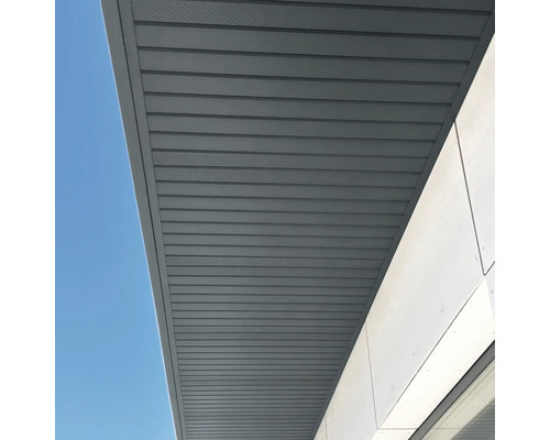 Sous-face grise avec panneaux horizontaux.