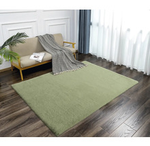 Wohnzimmer mit Sofa und grünem Teppich auf Holzboden