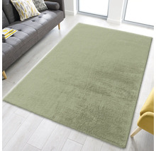 Tapis rectangulaire dans le salon