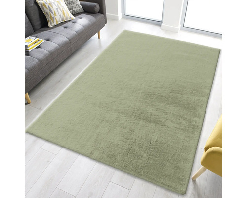Tapis rectangulaire dans le salon