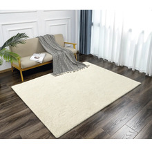 Salon avec canapé et tapis