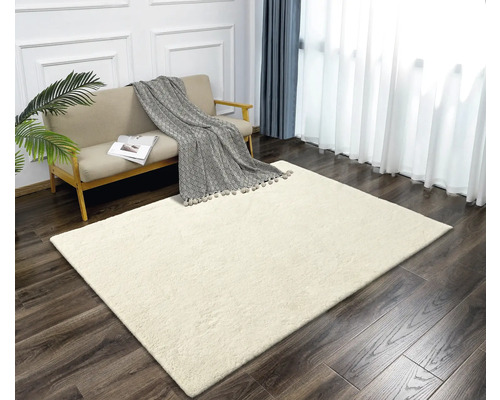 Salon avec canapé et tapis