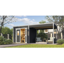Abri de jardin avec annexe, porte ouverte et installation pour vélos