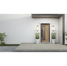 Porte d'entrée moderne avec insert en verre, flanquée de deux luminaires extérieurs et de pots de fleurs.