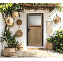 Espace d'entrée avec porte, plantes et éléments décoratifs pour l'extérieur