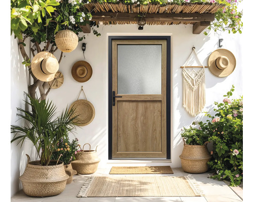 Espace d'entrée avec porte, plantes et décorations