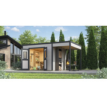 Abri de jardin avec remise à outils, étagères, stockage du bois et cheminée extérieure