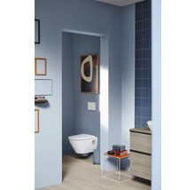 Salle de bains avec WC suspendu, meuble-lavabo et articles de décoration pour un intérieur moderne