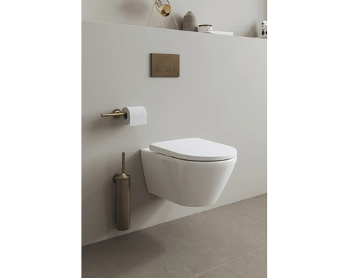 WC suspendu dans une salle de bains avec brosse de toilette, porte-papier toilette et plaque de commande