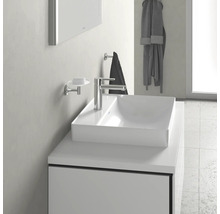 Vasque avec robinet, porte-savon et porte-serviettes dans salle de bain