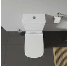 Vue de dessus de toilettes avec brosse de toilette et porte-papier toilette.