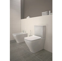 Scène avec toilettes, bidet et accessoires de salle de bain dans une salle de bain