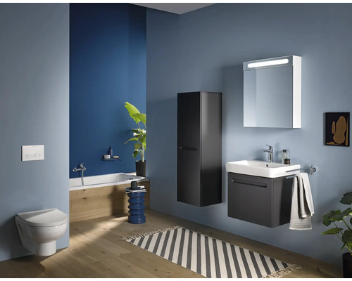 Salle de bain moderne avec toilettes, baignoire, lavabo, armoire de toilette et armoire haute pour une ambiance élégante
