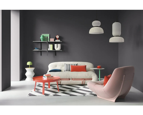 Salon avec canapé, fauteuil, tapis, table et étagères