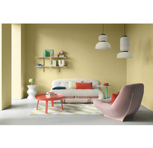 Salon avec canapé, fauteuil, table et étagères