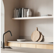 Scène de cuisine avec évier, robinet, vaisselle, planches à découper et étagères avec livres et décorations.