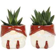 Zwei Sukkulenten in Zwerg Blumentöpfen