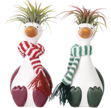 Deux figurines décoratives de canards avec des écharpes et des plantes en guise de cheveux