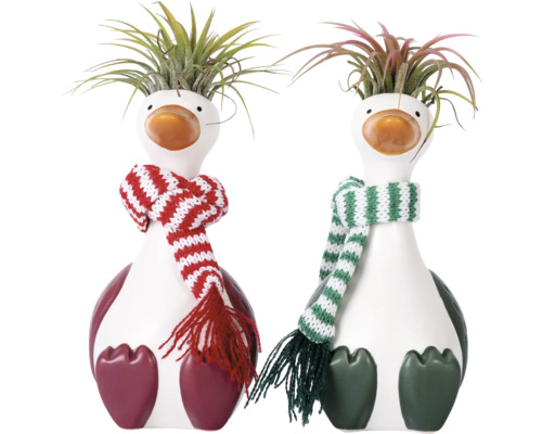 Deux figurines décoratives de canards avec des écharpes et des plantes en guise de cheveux