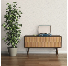 Scène avec une plante d'intérieur, une commode et un tourne-disque