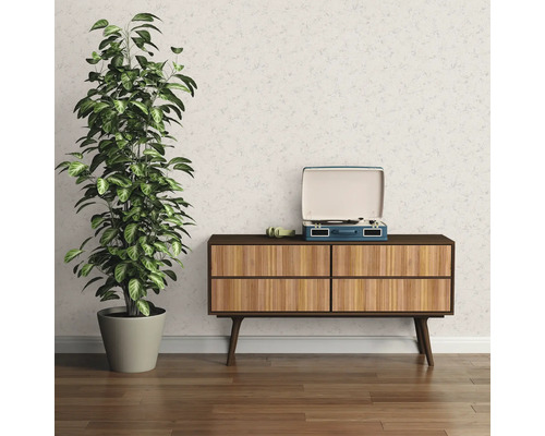 Szene mit Zimmerpflanze, Kommode und Plattenspieler