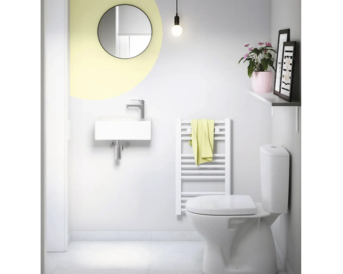 Badezimmer mit Waschbecken, Spiegel, Heizkörper, Toilette und Dekoration