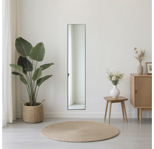 Raumansicht mit rechteckigem Spiegel, Pflanze und Kommode