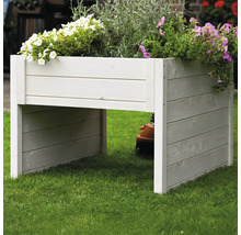 Jardinière surélevée en bois plantée de fleurs dans le jardin