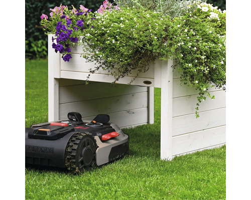 Tondeuse à gazon automatique sous un potager surélevé en bois