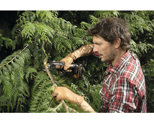 Un homme coupe les branches d'un arbre avec une scie à élaguer sans fil.