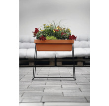 Blumenkasten mit Ständer und bunten Blumen auf Terrasse