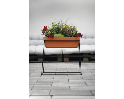 Blumenkasten mit Ständer und bunten Blumen auf Terrasse