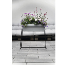 Blumenkasten mit Blumen auf einem Metallgestell