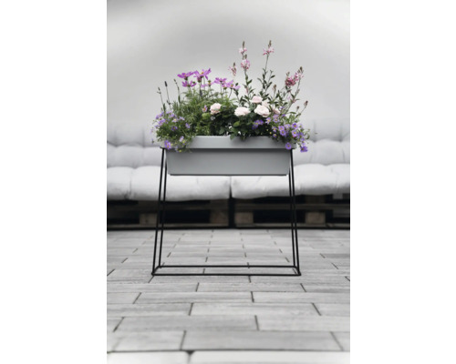 Blumenkasten mit Blumen auf einem Metallgestell