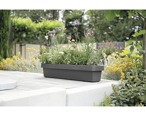 Rechteckiger Pflanzkasten aus Kunststoff mit Blumen auf einer Terrasse